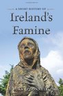 A Short History of Ireland's Famine