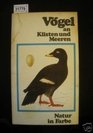 Vogel an Kusten und Meeren