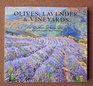 Olives Lavender and Vineyards A Cornish Painter in the South of France