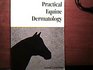 Practical Equine Dermatology