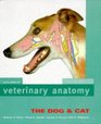 Color Atlas of Veterinary Anatomy The Dog  Cat