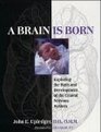 A Brain is Born Exploring the Birth and Development of the Central Nervous System