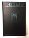The Brainlogy Primer of 2e Feeling/Organism