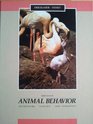 Animal Behavior Mechanisms Ecology and Evolution