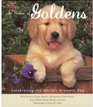 In Praise of Goldens Celebrating the World's Greatest Dog