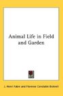 Animal Life in Field and Garden