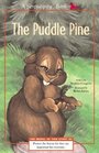 The Puddle Pine (Serendipity)