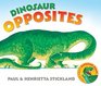 Dinosaur Opposites