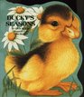 Ducky's Seasons