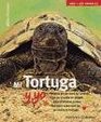 Mi tortuga y yo/Me and My Turtle