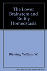 The Lower Brainstem and Bodily Homeostasis