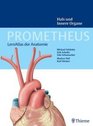 Prometheus LernAtlas der Anatomie Hals und Innere Organe