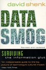 Data Smog  Surviving the Information Glut Revised and Updated Edition
