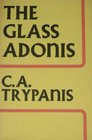 The glass Adonis