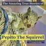 The Amazing True Stories of Pepito The Squirrel