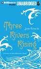 Three Rivers Rising A Novel of the Johnstown Flood