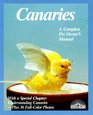 Canaries How to Take Care of Them and Understand Them