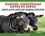 Muchas Muchisimas Raya's De Cebra / Lots  Lots of Zebra Stripes