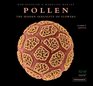 Pollen The hidden sexuality of plants