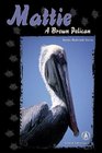 Mattie A Brown Pelican