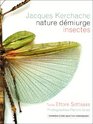 Nature dmiurge Collection d'insectes de Jacques Kerchache