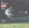 A Dog's Life : A Book of Classic Photographs (Dog's Life)