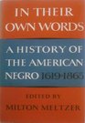 In Their Own Words A History of the American Negro 16191865