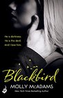 Blackbird A Redemption Novel