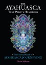 The Ayahuasca Test Pilots Handbook The Essential Guide to Ayahuasca Journeying