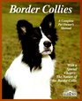 Border Collies Everything About Purchase Care Nutrition Breeding Behavior and Training