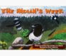 The Indian's Week