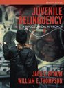 Juvenile Delinquency A Sociological Approach