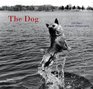 The Dog 100 Years of Classic Photography