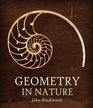 Geometry in Nature Exploring the Morphology of the Natural World Through Projective Geometry