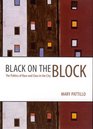 Black on the Block The Politics of Race and Class in the City