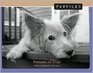 Pawfiles Portraists of Dogs A Bark and Smile Book