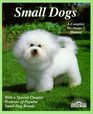 Small Dogs Dogs With Charm and Personality