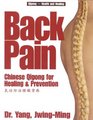 Back Pain Chinese Qigong for Healing  Prevention