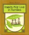 Insects that live in families