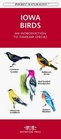 Iowa Birds An Introduction to Familiar Species