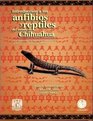 Introduction to the Amphibians and Reptiles of the State of Chihuahua Mexico