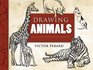 Drawing Animals