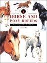 Identifying Horse and Pony Breeds