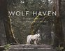 Wolf Haven Sanctuary and the Future of Wolves in North America