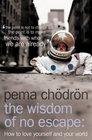 The Wisdom of No Escape and the Path of Loving Kindness: How to Love Yourself and Your World