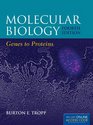 Molecular Biology Genes to Proteins Fourth Edition
