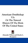 American Ornithology V3 Or The Natural History Of The Birds Of The United States