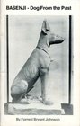 Basenji Dog from the Past