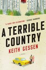 A Terrible Country A Novel