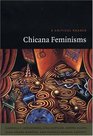 Chicana Feminisms: A Critical Reader (Latin America Otherwise)